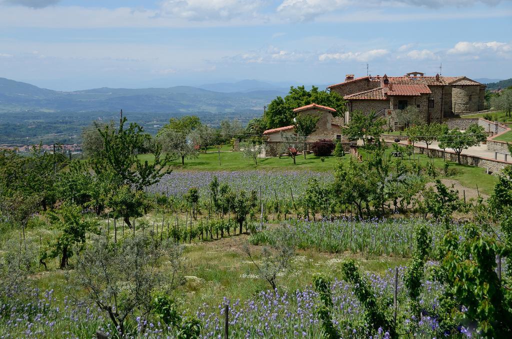 Agriturismo Villa IrisCastelfranco di Sopra エクステリア 写真