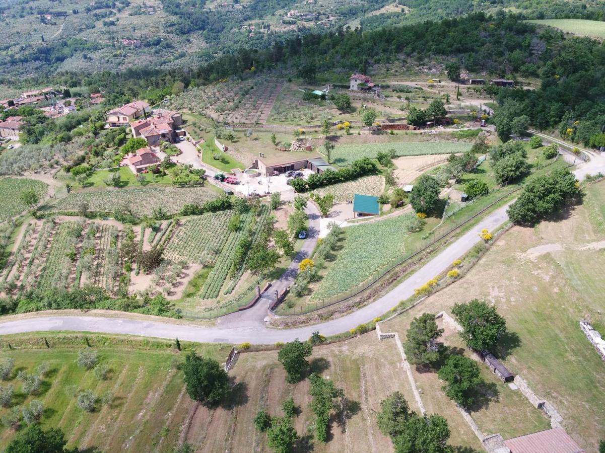Agriturismo Villa IrisCastelfranco di Sopra エクステリア 写真