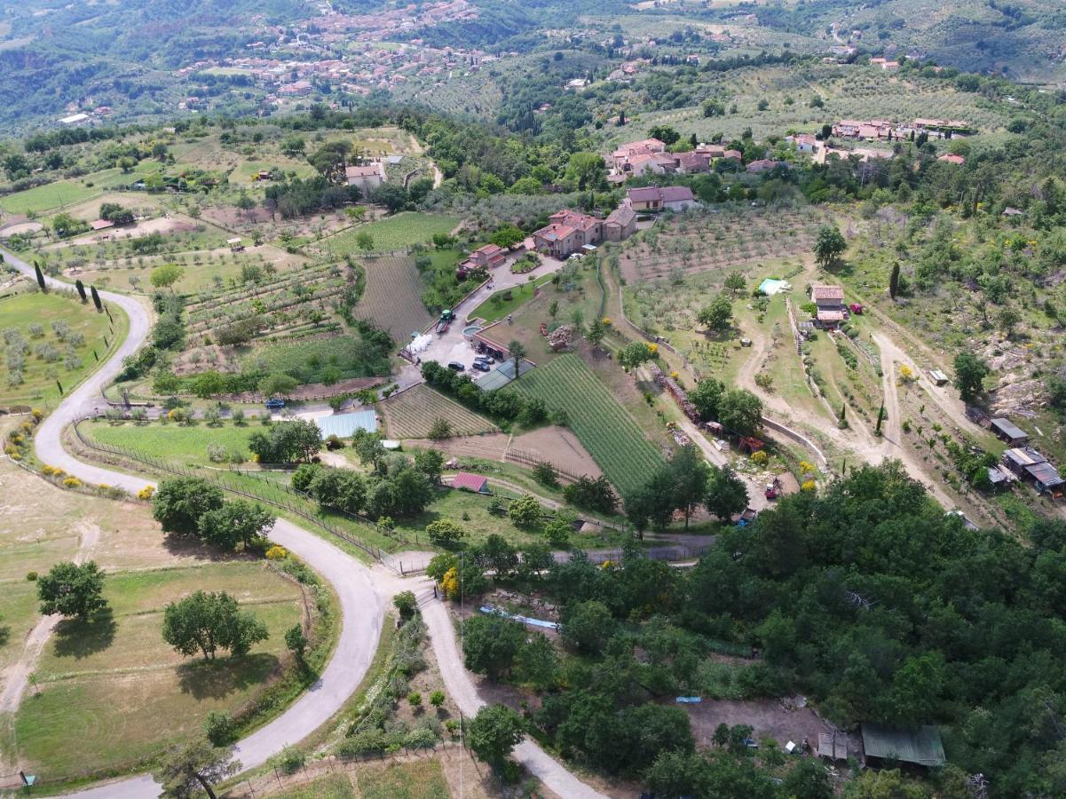 Agriturismo Villa IrisCastelfranco di Sopra エクステリア 写真